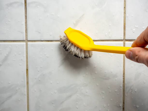 Mold Testing and Removal in Leavittsburg, OH