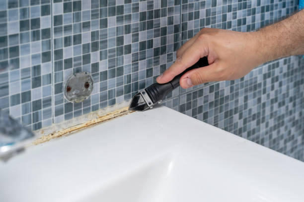 Mold Removal and Inspection in Leavittsburg, OH